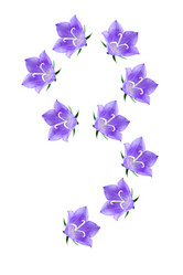 Similar image 229305