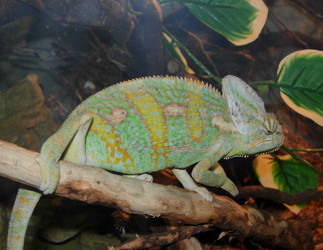 Similar image 229344