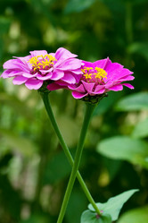 Similar image 229366