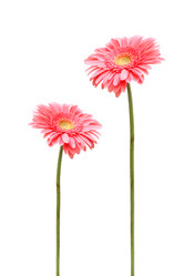 Similar image 229373