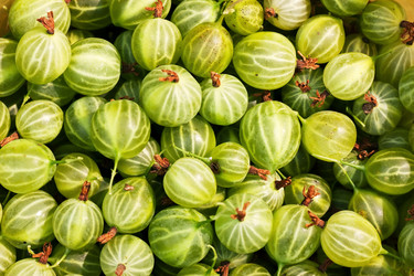 Similar image 229375