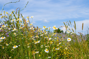 Similar image 229401