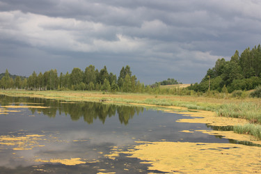 Similar image 229403