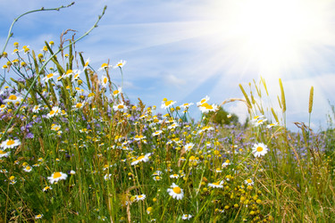 Similar image 229405