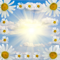 Similar image 229409