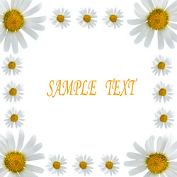 Similar image 229412