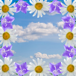 Similar image 229413