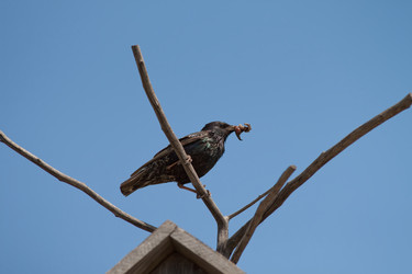 Similar image 229414