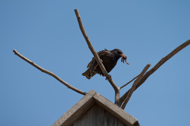 Similar image 229415