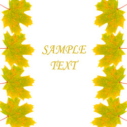 Similar image 229416