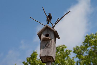 Similar image 229417