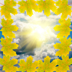 Similar image 229418