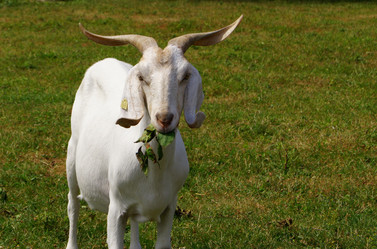 Similar image 229432