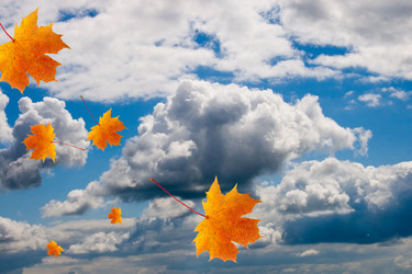 Similar image 229451