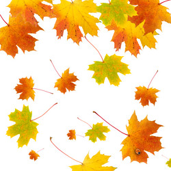 Similar image 229452