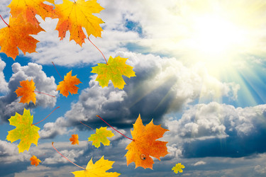 Similar image 229455