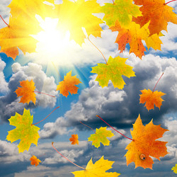 Similar image 229457