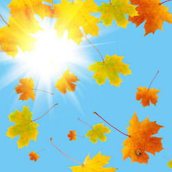 Similar image 229459