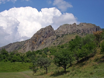 Similar image 229478