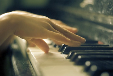 Similar image 229487