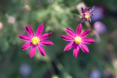 Similar image 229508