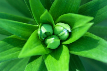 Similar image 229523