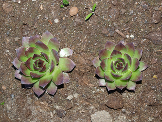 Similar image 229551