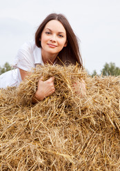 Similar image 229561