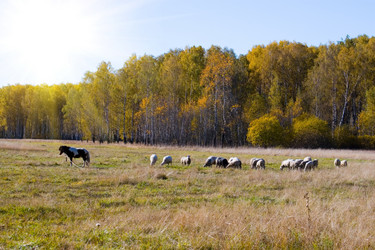 Similar image 229573