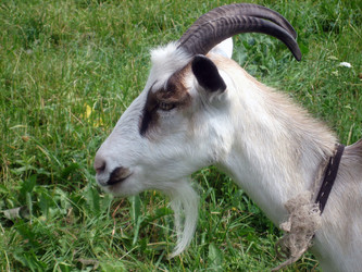 Similar image 229647