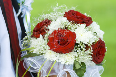 Similar image 229669