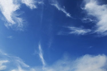 Similar image 229686