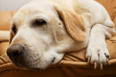 Similar image 229689