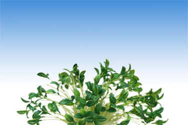 Similar image 229712