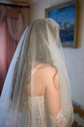 Similar image 229729