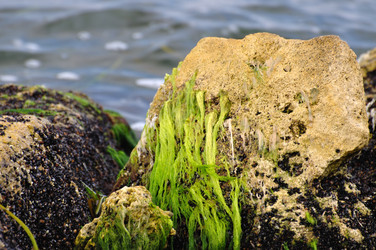 Similar image 229763