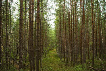 Similar image 229769