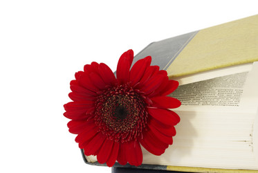 Similar image 229773