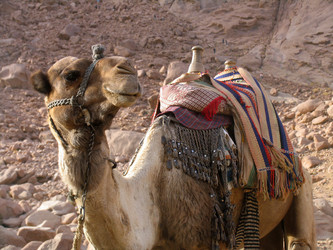 Similar image 229790