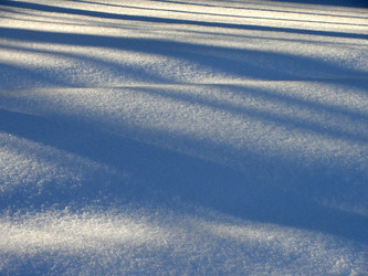 Similar image 229798