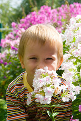 Similar image 229839