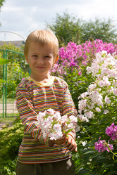 Similar image 229842