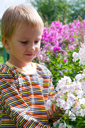 Similar image 229843