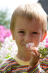 Similar image 229844