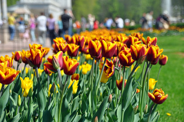 Similar image 229858