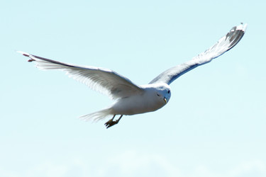 Similar image 229860