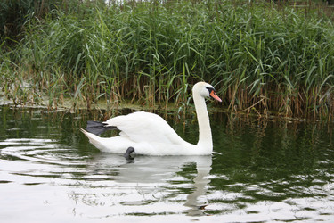 Similar image 229864