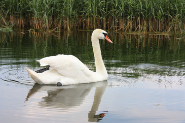 Similar image 229865