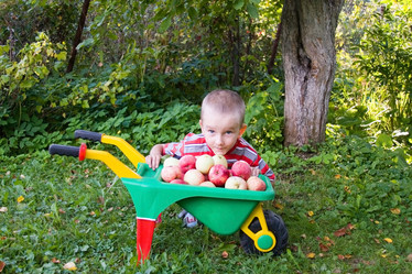 Similar image 229867