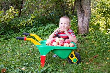 Similar image 229869